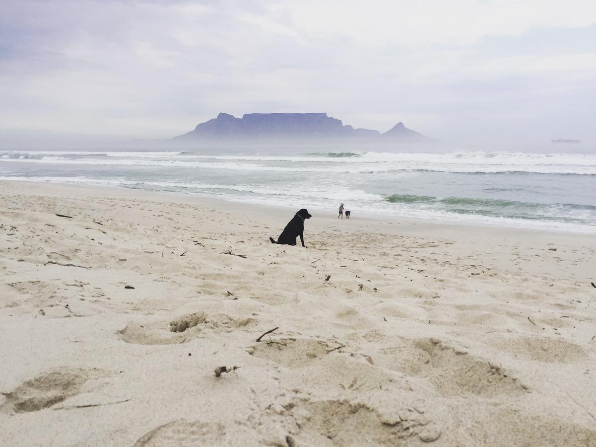 Fairhaven Beachhouse & Pool Blouberg Seaside Bloubergstrand Exterior photo